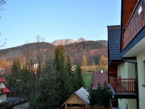 Apartament Apartament Domino - Krzeptówki 06 Zakopane Zewnętrze zdjęcie